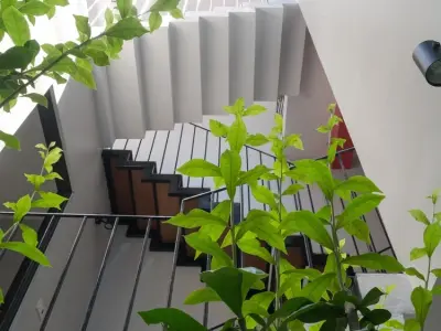 Mẫu nhà ống có giếng trời tạo không gian sống thoải mái