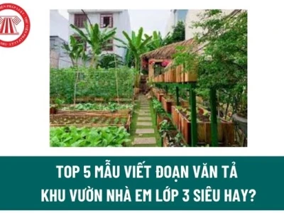Tả khu vườn nhà em thật đẹp và bình yên