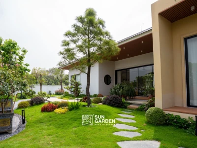 Thiết kế sân vườn nhỏ sau nhà: Không gian xanh mát và thư giãn